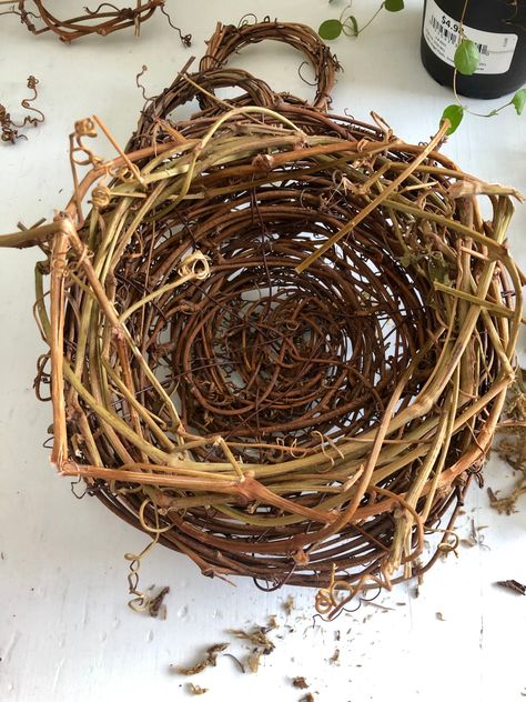 Diy Bird Nest, Pigeon Nest, Bird Nest Craft, Easter Nests, Spring Birds, Diy Birds, Young Animal, Creative Activities For Kids, Nesting Boxes