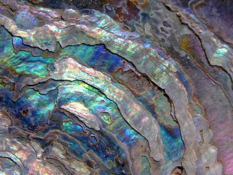 Abalone Shell Aesthetic, Macro Texture, Resin Texture, Pearl Texture, Photography Macro, Family Meaning, Mermaid Aesthetic, Blue Or Pink, Iridescent Green