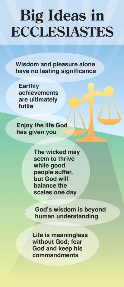 Big Ideas in Ecclesiastes Bible Numbers, Quick View Bible, Woord Van God, Bible Study Help, Online Bible Study, Between Two Worlds, Bible Study Notebook, Bible Study Tools, Bible Notes