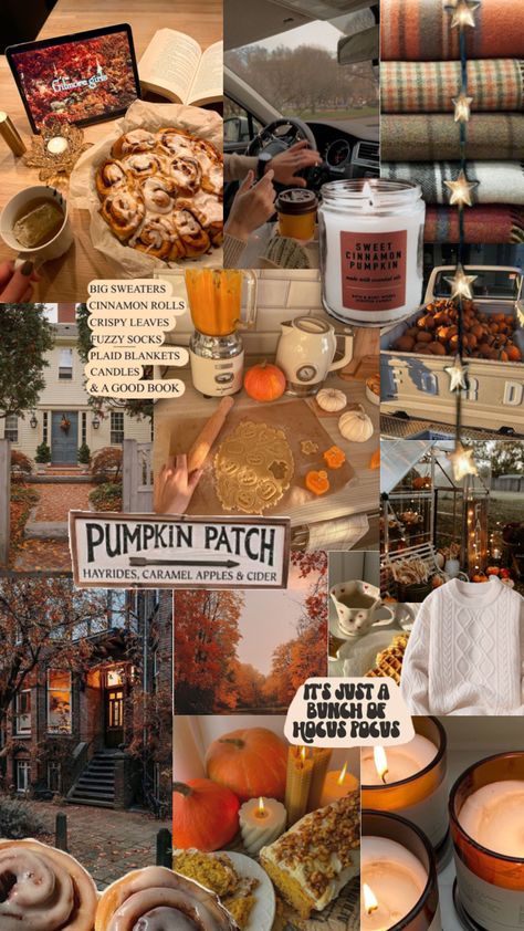 Preppy Fall Aesthetic, Rory Gilmore Fall, Collages Wallpaper, Oc California, Autumn Phone Wallpaper, Halloween Wallpaper Iphone Backgrounds, Wallpaper Autumn, Apple Cider Caramels, Halloween Wallpaper Cute