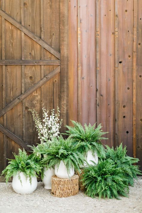 We love how they incorporated ferns and potted plants as wedding decor! Eco-friendly and budget-savvy way to create a fresh centerpiece. #centerpiecesdiy #pottedplants #plantlady Hanging Ferns Wedding, Modern Outdoor Wedding Decor, Forest Arrangements, Rustic Wedding Decor Blue, Woods Themed Wedding, Fern Centerpiece Wedding, Fern Wedding Decor, Potted Plant Centerpieces, Fern Centerpiece