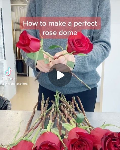 NYC Wedding and Events Florist on Instagram: "Simple and beautiful all red rose. The spiral technique works every time to make a perfect shape! #roses #flowerarrangement #howto #flowerarrangement #flowersofinstagram #rachelcho #rachelchofloral" Simple Rose Arrangements Diy, How To Arrange Roses In A Vase, Red Roses Flower Arrangement, Rose Arrangements Diy, 2 Dozen Roses, Red Rose Arrangements, Roses In A Vase, Rose Dome, Red And Yellow Roses