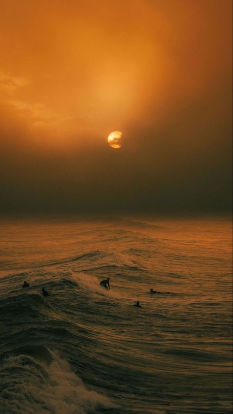 Wallpaper Hippie Summer Wallpaper, Surf Wallpaper Aesthetic, Film Photography Wallpaper, Sade Aesthetic Wallpaper, Sun Wallpaper Aesthetic, Sun Aesthetic Wallpaper, Ocean Sunset Wallpaper, Sunset Ocean Aesthetic, New Wave Aesthetic