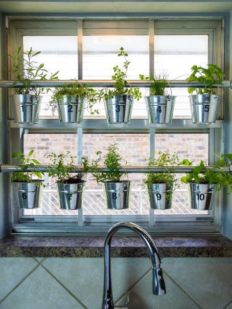 Use muffin tins for bathroom storage, plus more surprising ways to repurpose old kitchen stuff. Hanging Herb Gardens, Indoor Garden Apartment, Vertical Herb Gardens, Window Herb Garden, Kebun Herbal, Indoor Herbs, Growing Herbs Indoors, Hanging Herb Garden, Hanging Herbs