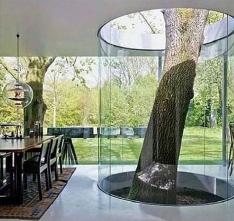 Beautiful House Images, Tree House Interior, Garden Concept, Tree Interior, Backyard Gardens, Gardens Ideas, Gardening Design, Landscaping Garden, Casa Patio