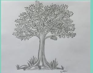 Simple Pencil Drawings for Kids - Easy Ideas with Pictures Check more at https://www.kidsartncraft.com/simple-pencil-drawings-for-kids/ Neem Tree Sketch, Easy Tree Sketch, Neem Tree Drawing, Simple Pencil Drawings, Tree Drawing For Kids, Tree Pencil Sketch, Pencil Drawing Pictures, Monument In India, Neem Tree