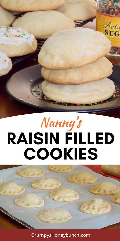 Raised Filled Cookies, Raisin Filled Cookies Amish, Filled Raisin Cookies, Raisin Cookies Filled, Raison Filled Cookies, Raisin Filled Cookies Easy, Raisin Filled Cookies Old Fashioned, Raisin Cookies Old Fashioned, Filled Cookies Recipes