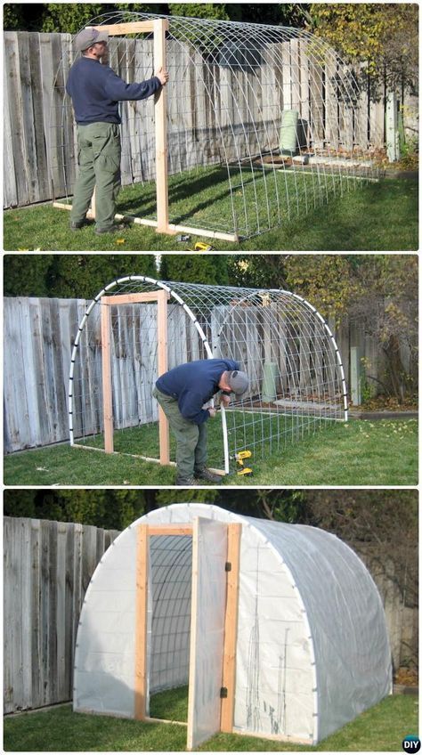 Reban Ayam, Diy Greenhouse Plans, Cattle Panels, Build A Greenhouse, Backyard Greenhouse, Small Greenhouse, Greenhouse Plans, Diy Greenhouse, Garden Greenhouse