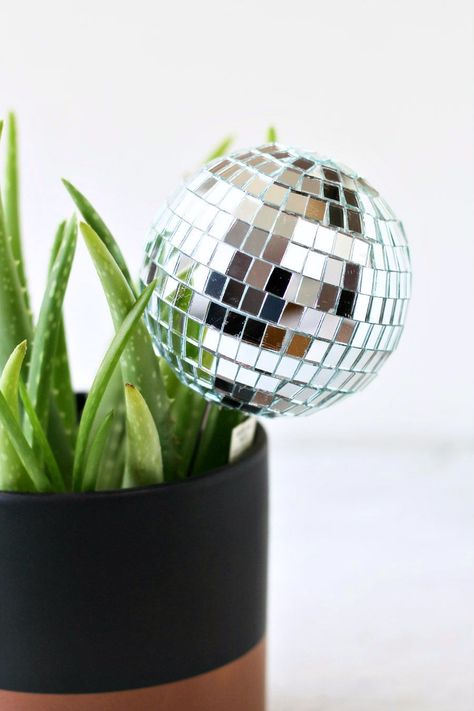 Mini Disco Ball, Diy Disco Ball, Disco Balls, Disco Ball, Hot Glue, Live Plants, Plant Hanger, Silhouette Cameo, All You Need Is