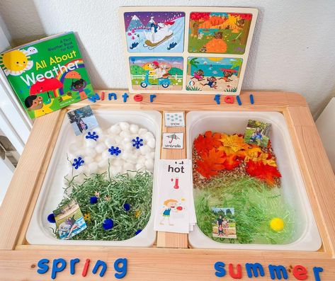 Season Sensory Bin, Seasons Sensory Bin, Weather Sensory Bin, November Preschool Themes, Sensory Kids Room, Activities For One Year Olds, Types Of Weather, Toy Rotation, Sensory Play Toddlers