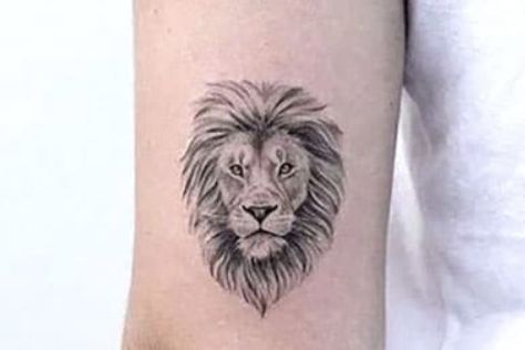 Fineline Lion Tattoo, Small Tattoo Designs For Women, Simple Lion Tattoo, Palm Size Tattoos, Small Lion Tattoo, Lioness Tattoo, Ear Tattoo Ideas, Forearm Band Tattoos, Women Tattoos