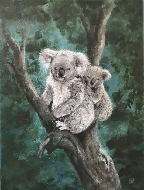 Koala Bear Painting, Koala Painting Acrylics, Koala Painting, Australian Bushfires, Koala Drawing, Dove Painting, Koala Bears, Australian Painting, Baby Bears