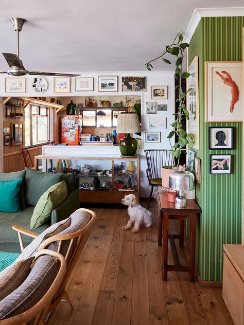 Surf Shack Interior, Living Room Plant Decor, Room Plant Decor, Surf Interior, Living Room Makeover Ideas, Surf House Decor, Surf Decor, Surf House, Surf Shack