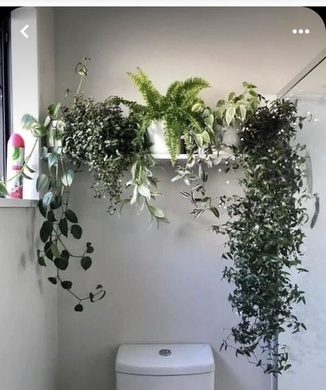 Hanging Plants Against Wall, Plants Above Bathroom Mirror, Wall Planter Bathroom, Shower With Plants Inside, Bathroom Plant Wall, Bathroom Plants No Sunlight, Bathroom Plants Decor, Indoor Plant Wall, Plant Crafts