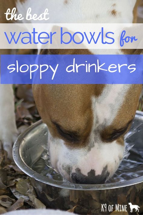 4 Best Dog Water Bowls for Sloppy Drinkers | #pets #amazing #petsy #cuteanimals #pets #amazing #petsy #petadvice #gift #giftidea  #PetProudcts Dog Water Bowl Mess, Dog Bowls Diy, Dog Feeding Station, Pet Water Bowl, Raised Dog Bowls, Dog Grooming Tips, Water Station, Multiple Dogs, Dog Water Bowls