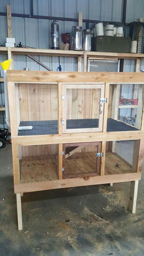 Brooder box Chicken Coop Blueprints, Brooder Box, Quail Coop, Chicken Brooder, Chicken Pen, Chicken Feeders, Backyard Chicken Farming, Coop Design, Best Chicken Coop