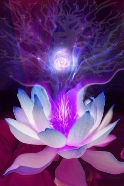 Lotus flower... repinned by http://Reiki-Master-Training.com Spiritual Awakening Signs, Art Fractal, Twin Flame Love, Twin Souls, Om Mani Padme Hum, Zen Meditation, Spiritual Art, Twin Flame, Tgif