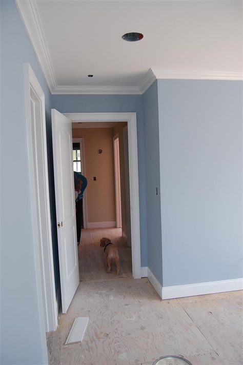 blue heather benjamin moore - Google Search Blue Color Wall Paint, Blue Woodwork White Walls, Shades Of Blue Wall Paint, Light Blue Walls With Accent Wall, Painting Ideas For Rooms Bedrooms, Main Room Color Ideas, Benjamin Moore Heather Blue, Bm Blue Heather Benjamin Moore, Blue Painted Walls Living Room