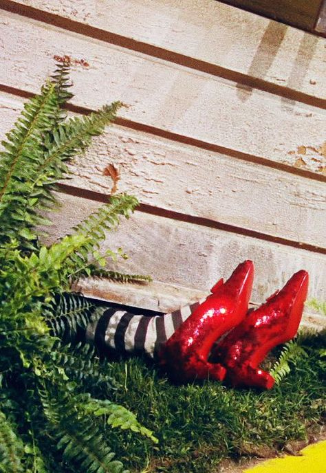 Oz Büyücüsü, Wizard Of Oz Movie, Oz Movie, Wizard Of Oz 1939, Wicked Witch Of The West, Land Of Oz, The Wonderful Wizard Of Oz, Ruby Slippers, Incubus