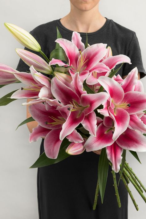 Lily And Tulip Bouquet, Pink Lilies Bouquet, Pink Lily Bouquet, Stargazer Lily Wedding, Tiger Lily Bouquet, Stargazer Lily Bouquet, Minimalist Things, Luxury Bouquet, Derby Wedding