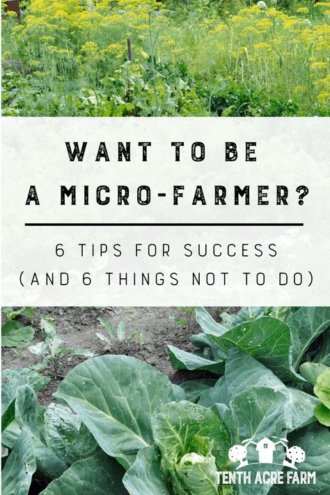 How To Start Farming, Market Garden Layout, Micro Homesteading, Market Farming, Micro Gardening, Regenerative Gardening, Micro Farm, Rose Garden Design, Backyard Garden Layout