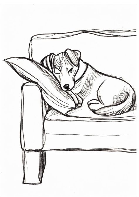 Line Drawing of Jack Russell Terrier Asleep on the Couch - Etsy Couch Sleeping, Baby Elephant Drawing, Sofa Drawing, Dog Line Drawing, Jack Russell Dogs, Elephant Drawing, Sketches Of People, Dog Crafts, 8x10 Frame