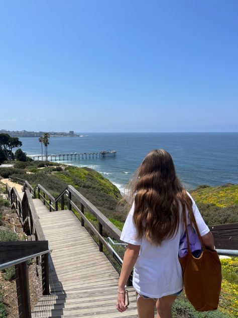 Colleges In California, San Diego College Aesthetic, College Beach Aesthetic, La Jolla California Aesthetic, College On The Beach, Cali Summer Aesthetic, Living In California Aesthetic, College In California, Ucsd College Aesthetic