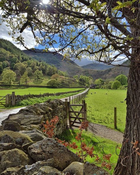 Cumbria Lake District, Welsh Countryside, English Landscape, Lake District Wedding, Lake District England, Solo Camping, Lake District National Park, England Photography, Cottage Aesthetic