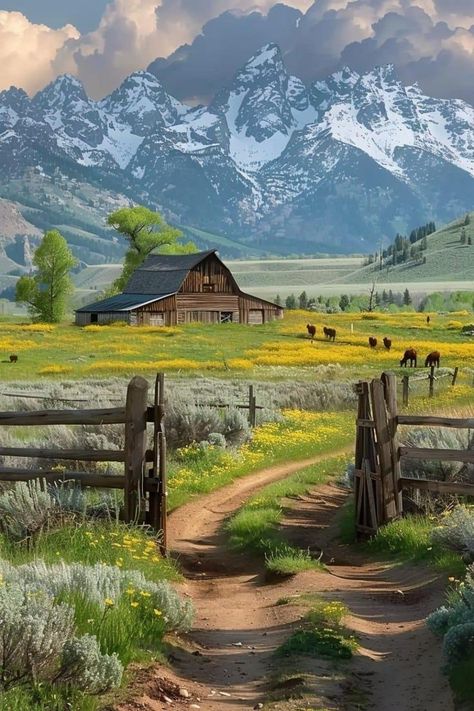 Country Scenes Scenery, Country Scenes Farms Landscapes, Farm View, Farm Animal Paintings, Rural Photography, Barn Pictures, Western Photography, Farm Paintings, Western Landscape