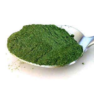 10 Ways to Use Moringa Powder (Plus Tasty Recipes) Moringa Smoothie, Benefits Of Spinach, Spinach Powder, Moringa Recipes, Spinach Benefits, Green Superfood Powder, Energy Bars Recipe, Moringa Leaf Powder, Dehydrated Vegetables