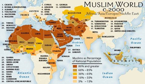 The spread of Islam Interesting Maps, Islamic Countries, History Of Islam, I'm Sick, Muslim Countries, Info Graphic, And So It Begins, Country Maps, Construction Design