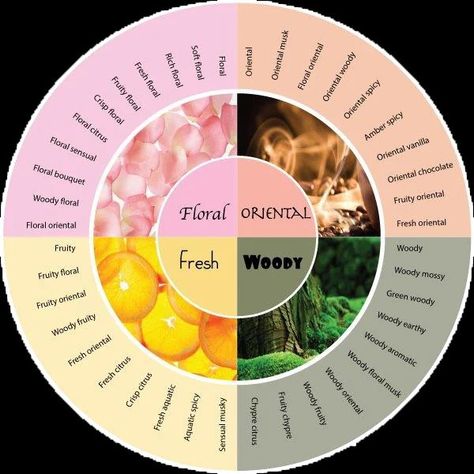 Perfume Scents Chart, Cologne Recipes, Fragrance Wheel, Perfume Types, Scent Layering, Perfume Wall, Fragrance Quote, Perfume Layering, Perfume Business