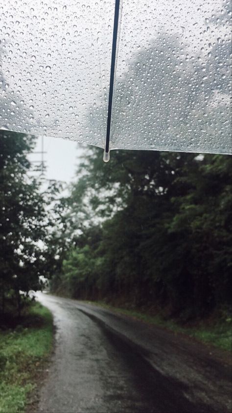 #rainyday #rainy #green #village Rainy Day Village, Green Rainy Day, Rainy Village, Green Village, Rainy Days, Rainy Day, Flowers, Green