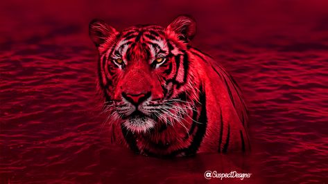 my big beautiful red tiger i edited. Tiger Aesthetic, Grinch Drawing, He Man Thundercats, Church Banners Designs, Red And Black Wallpaper, Tiger Drawing, Tiger Wallpaper, Drawing Tutorial Face, Diamond Wallpaper