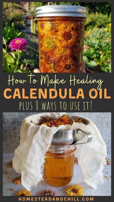 Salve Recipes, Calendula Oil, Herbal Recipes, Natural Healing Remedies, Herbal Healing, Herbs For Health, Infused Oils, Homemade Remedies, Healing Herbs