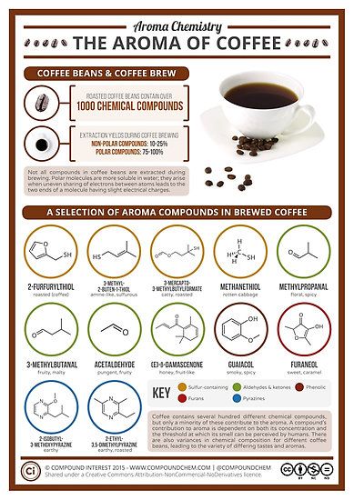 Food Chemistry, Coffee Smell, Coffee Aroma, Roasted Coffee Beans, Food Science, Organic Chemistry, Coffee Pods, Biochemistry, Espresso Coffee