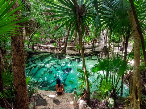 Ultimate List Of The Best Cenotes in Mexico Yucatan Peninsula Mexico, Mexican Cenotes, Mexican Cruise, Tulum Cenotes, Cenotes Tulum, People Swimming, Mexico Honeymoon, Mexico Tulum, Colored Water