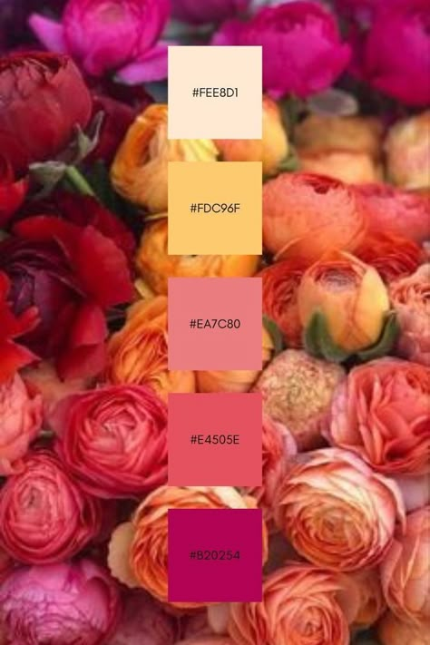 Bohemian Colors Scheme, Magenta Color Palette Wedding, Flower Colour Scheme, Mother’s Day Color Palette 2024, Sangria Color Palette, Summer Flower Color Palette, August Color Palette, Bridal Color Palette, Flower Colour Palette