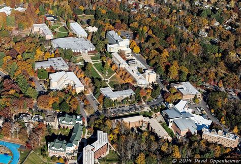 A Girl's Guide To Being Homesick University Of North Carolina, Senior Prom, Girl Guides, Senior Year, The Stage, Asheville, Just Go, North Carolina, City Photo