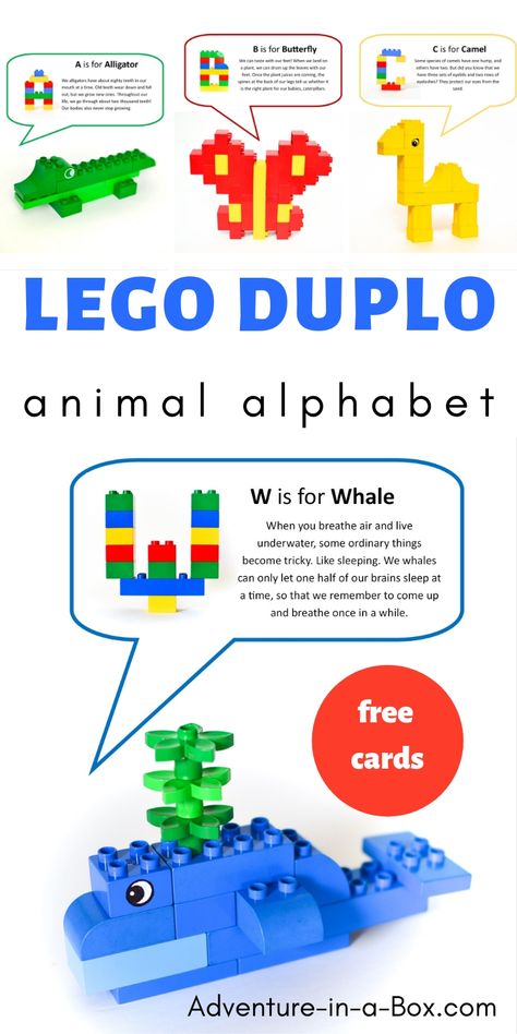 Use Lego Duplo to build animals while learning the alphabet! Included are 26 free printable cards with ideas of animal and letter designs. Lego Duplo Animals, Lego Duplo Sets, Letter Designs, Lego Animals, Preschool Homeschool, Lego Activities, Free Printable Cards, Easy Arts And Crafts, Lego Pieces