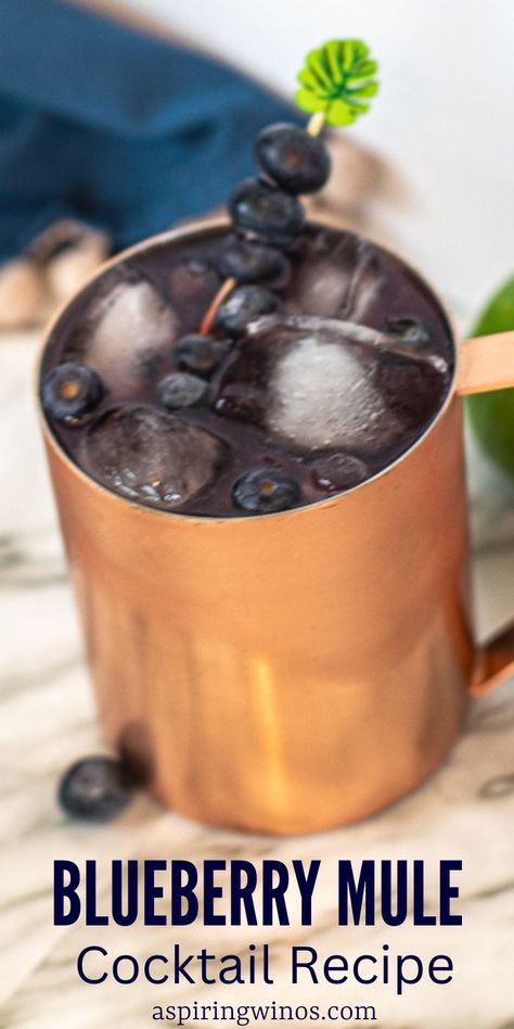 Blueberry Mule Cocktail: A Unique Twist on a Classic | Moscow Mule recipes you need to try | Blueberry cocktail recipe | Copper mug drink recipes | Summer drink recipes for everyone #Blueberry #MoscowMule #BlueberryMuleCocktail #Cocktail #CocktailRecipe #Vodka #VodkaRecipes Mule Mocktails, Copper Mug Drinks, Blueberry Mule, Blueberry Moscow Mule, Moscow Mule Recipe Classic, Moscow Mule Recipes, Blueberry Cocktail, Moscow Mule Recipe, Mule Cocktail