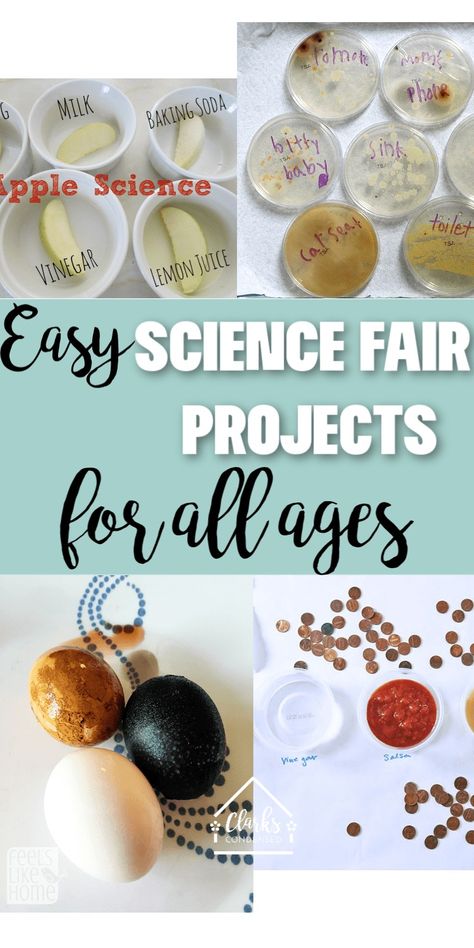 Easy Science Fair Project Ideas for All Ages (And Picking the Perfect Project) 2024 - Clarks Condensed Science Fair Projects For 2nd Grade, Useful Science Projects, Easy Science Fair Projects For 3rd Grade, Science Fair 2nd Grade Project Ideas, Science Fair 1st Grade Project Ideas, Preschool Science Fair Projects, Scientific Method Science Fair Projects, Mold Science Fair Project, Science Fair Projects For Kindergarten