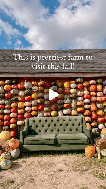 Pumpkin Farm Display, Fall Farm Market, Fall Market Ideas, Pumpkin Farm Pictures, Pumpkin Patch Decorating Ideas, Pumpkin Patch Photoshoot Family, Farm Market Display, Pumpkin Patch Ideas, Homestead Market