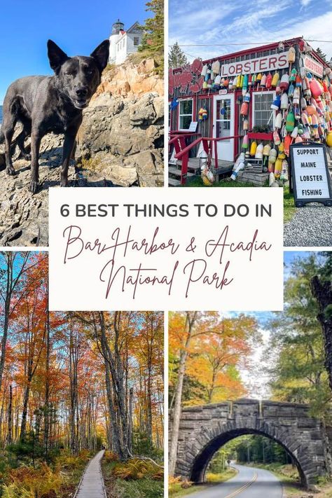 6 Best Things to Do in Bar Harbor and Acadia National Park — Road Trip Locals Girls Trip Destinations, Acadia Maine, Maine Road Trip, Lobster Fishing, East Coast Travel, Bar Harbor Maine, Maine Vacation, National Park Road Trip, Summer Road Trip