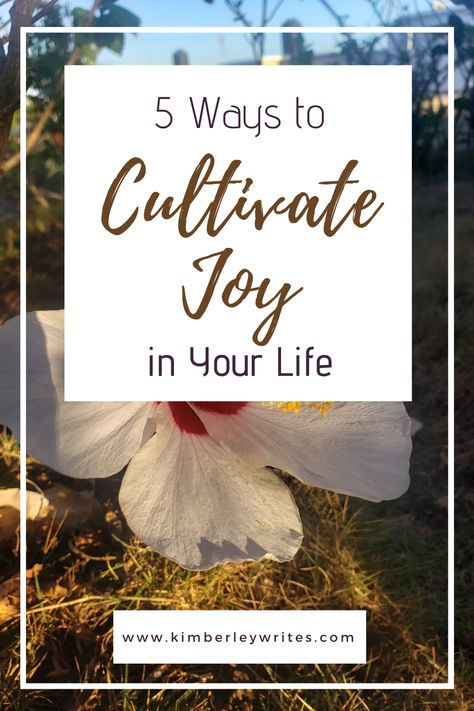 Cultivate Quotes, Inspirational Advice, Daily Journal Prompts, Embrace Imperfections, Gratitude Challenge, Supportive Friends, Enjoy The Sunshine, Find Joy, Holistic Living