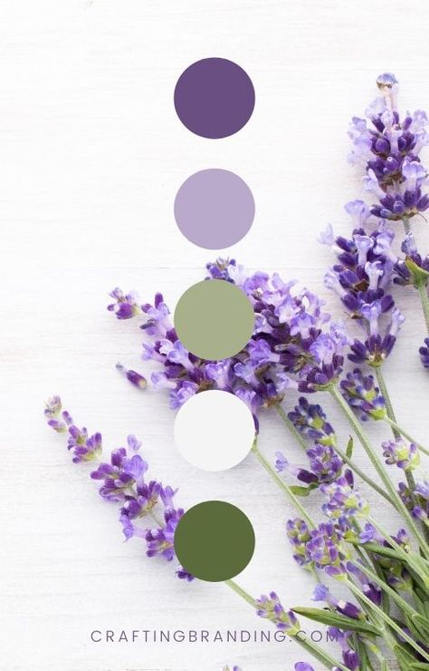 Black White Lavender Color Palette, Purple And White Colour Palette, Lavender Colour Pallete, Color Pallets With Lavender, Lilac And Sage Green Aesthetic, Wedding Colour Schemes Purple, Lavender Palette Colour Schemes, Lavender Sage Bedroom, Lilac Mood Board Aesthetic