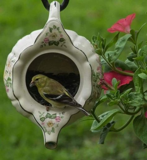 Garden Decorations Ideas, Teapot Garden, Teapot Birdhouse, Compost Tea, Urban Decor, Deco Floral, Garden Decorations, Bird Feeder, Garden Crafts