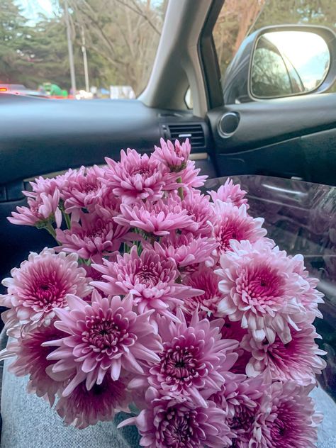 Crysthanamum Flowers, Crythanthimum Flowers, Chrysanthemums Aesthetic, Chrysanthemum Flower Aesthetic, Aesthetic Chrysanthemum, Chrysanthemum Aesthetic, Crysantenum Flower, Chrysanthemums Bouquet, Crysanthemum Flower