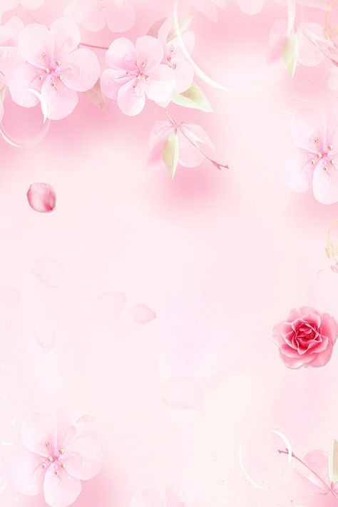 Flower Flower Background Fresh Romantic Flower Romantic, Flower Shadow, Romantic Wallpaper, Romantic Background, Rose Background, Cat Air, Valentines Day Background, Petal Flower, Wallpaper Photos