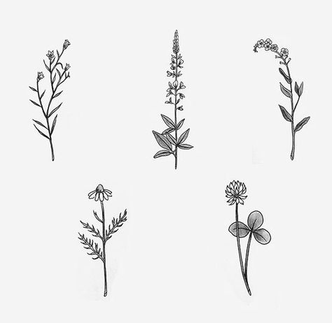 Delicate flowers. Wildflower Tattoos, Wildflowers Tattoo, Tattoo Diy, 심플한 그림, Tattoos Geometric, Clover Flower, Pola Sulam, 문신 디자인, Flower Tattoo Designs